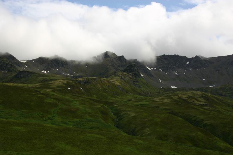 070404 Hope Hatcher Montana Creek (10183)